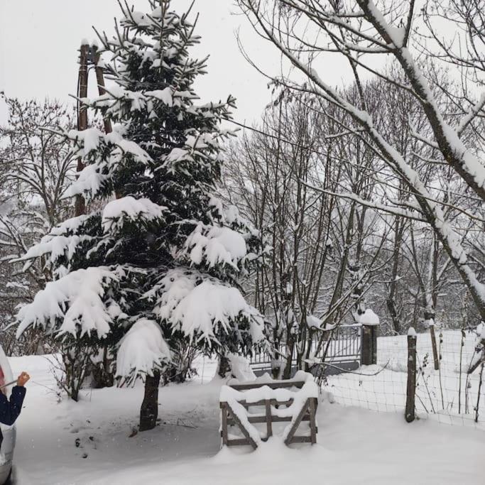 Maison De Montagne Au Calme Avec Cheminee Poubeau Buitenkant foto